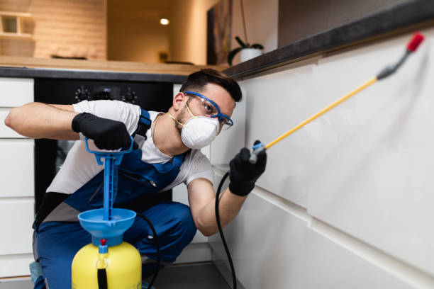 Best Pest Control for Restaurants  in Easley, SC