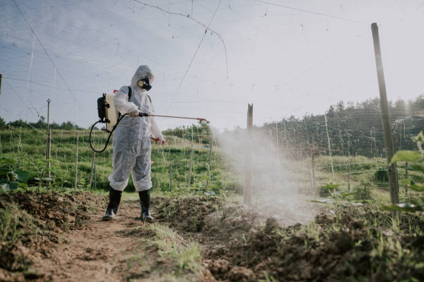 Best Pest Control for Homes  in Easley, SC