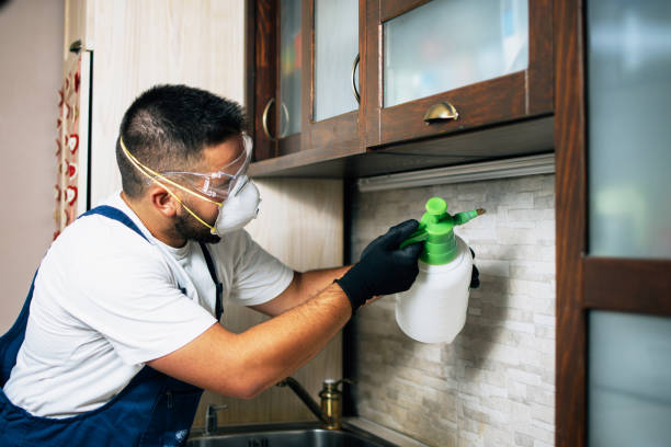 Best Mosquito Control Services  in Easley, SC