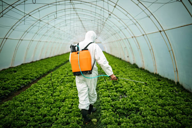 Best Pest Control Near Me  in Easley, SC