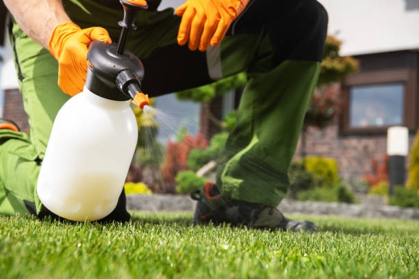 Best Residential Pest Control  in Easley, SC