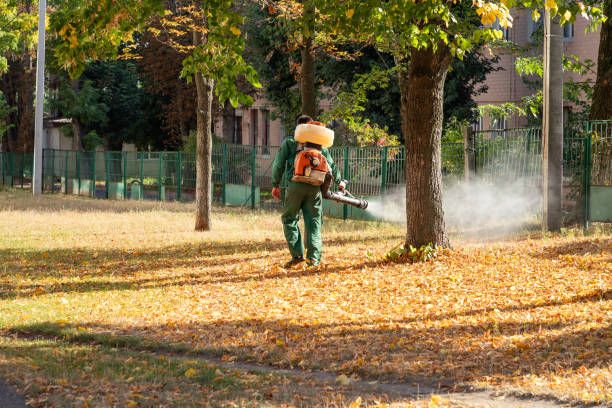 Best Commercial Pest Control Services  in Easley, SC