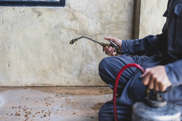 Professional Pest Control in Easley, SC